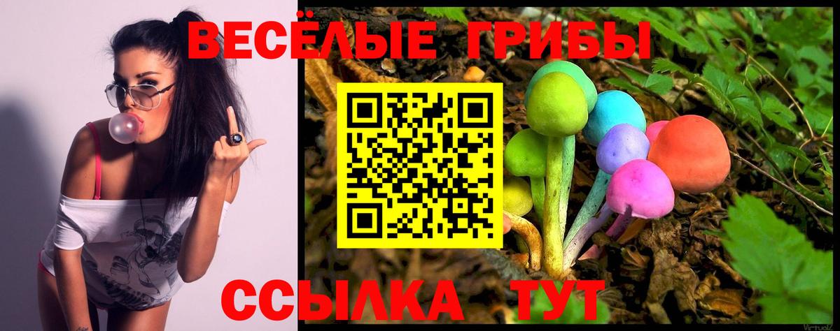 Ирбит  Псилоцибиновые грибы Psilocybine cubensis  купить наркотик  Галлюциногенные грибы ЛСД  Вход с VPN 